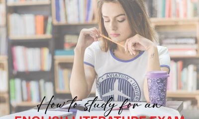 Student studying English literature with notes and books to prepare effectively for an upcoming exam